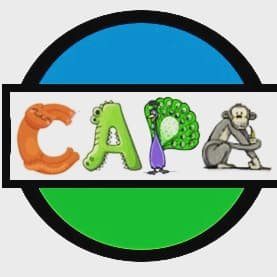 Campaña de Apoyo a la Protección Animal
ponte la capa por los animales ❤️