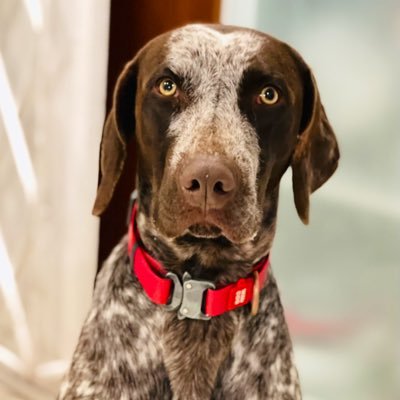 GaboTeran's profile picture. “La pluma es más poderosa que la espada solo si el cerebro que la guía sabe empuñar la palabra”.