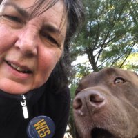 Lilith of the Valley☮️ (@cyniccramer) 's Twitter Profile Photo