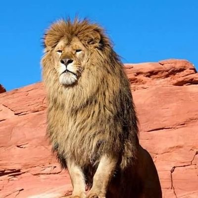 Rahulmi97181031's profile picture. Business man