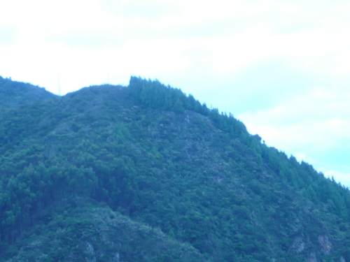 Cumbre1111's profile picture. 