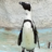 ha_ru_bot's profile image