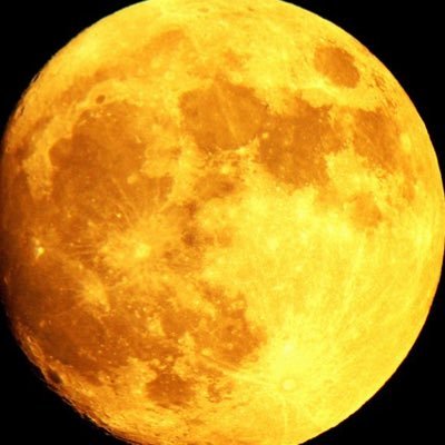 meritlesscrown's profile picture. 