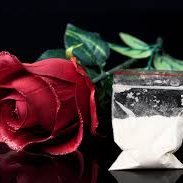 RosasandCocaina's profile picture. 𝒞𝓸𝓃𝓈𝓉𝒶𝓃𝓉 𝓅𝓁𝓮𝒶𝓈𝓊𝓇𝓮𝓈,
𝒩♡𝓈𝒸𝒶𝓁𝓮 𝒸𝒶𝓃✨ℳ𝓮𝒶𝓈𝓊𝓇𝓮
𝒮𝓮𝒸𝓇𝓮𝓉𝓈, 𝒯𝓇𝓮𝒶𝓈𝓊𝓇𝓮𝓈
𝒦𝓮𝓮𝓅𝓈 𝓸𝓃 𝓰𝓮𝓉𝓉𝒾𝓃𝓰 ℬ𝓮𝓉𝓉𝓮𝓇 {𝒴𝓮𝒶𝒽}