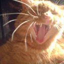 anthony white - @Ant1960White - Twitter