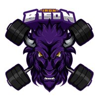 Bison(@Iron_BisonTV) 's Twitter Profileg