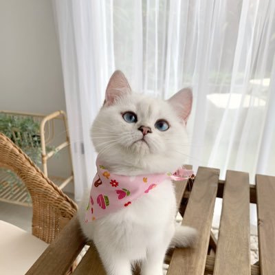 saaasza✨🧸さんのプロフィール画像