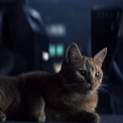 andrea_lv426's profile picture. 