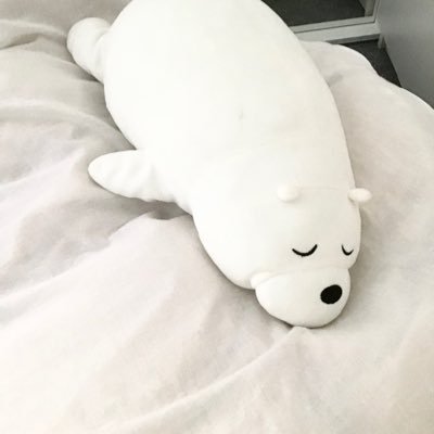 ひとりがさみしくなってきたので、ぬいぐるみに話しかけてみてる