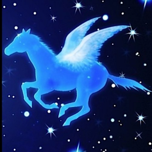 glidinalong's profile picture. 