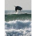 john dewar - @johndewar62 - Twitter