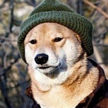 a4ventur1st's profile picture. 