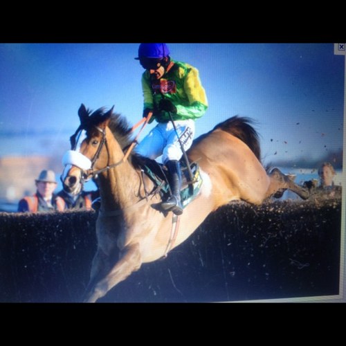 kautono1's profile picture. 