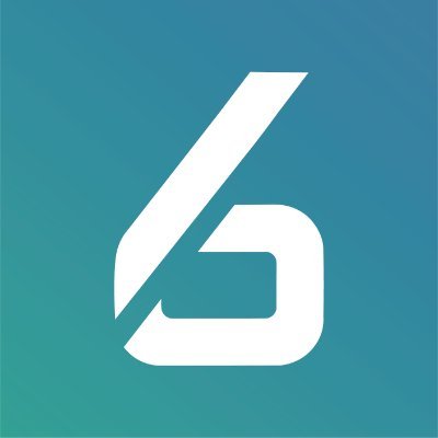 Bridgerr Consulting Profile