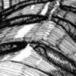 robin_is_gone's profile picture. 