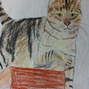 Dave Kong - @KongDave - Twitter