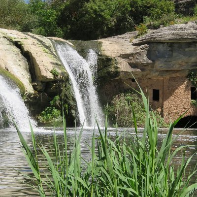 CTMAMoia's profile picture. Entorn virtual d'aprenentatge del grup classe de Ciències de la Terra i el Medi Ambient II de l'Ins Moianès.