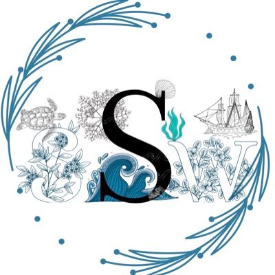 SinuraSW's profile picture. 