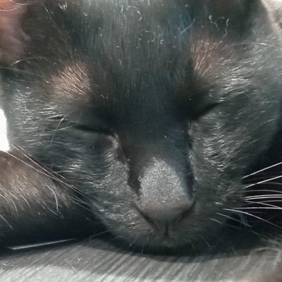 yukinoheya10000's profile picture. 金ドル時々ビットのfxトレーダー