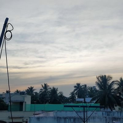 Absolute_Yogi's profile picture. 