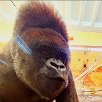 Stuart (@w3stuart) 's Twitter Profile