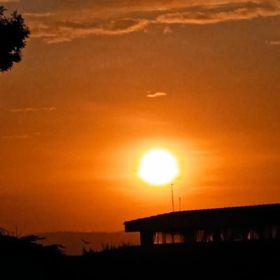 Mercy_Chia7's profile picture. 