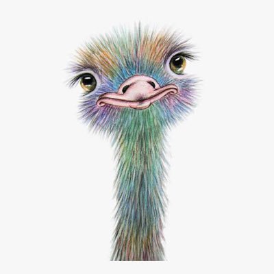 AussieGozi1's profile picture. Lover of peace, common sense, kindness, dignity and integrity ❤️