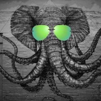 ChaosElephant (@etherbalance) 's Twitter Profile