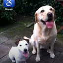 Robin keim - @KeimRobin - Twitter