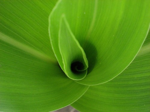 markjeschke's profile picture. Scientist | Writer | Farmer