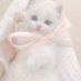 ๐ (@trhk1o11) Twitter profile photo ๐ (@trhk1o11) Twitter profile photo