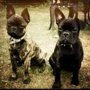 glen stephens - @gone1 - Twitter