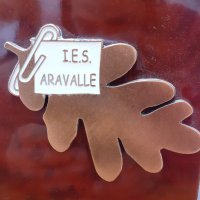 IES Aravalle(@IES_Aravalle) 's Twitter Profile Photo