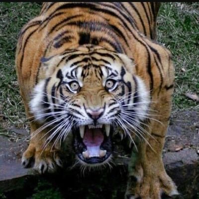 FreeJohno76's profile picture. 