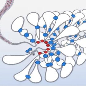 Official Twitter account of the Eugene Kim Lab - Max Planck Institute of Biophysics