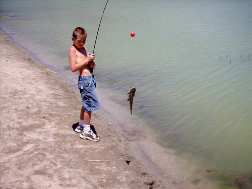 Retired Paramedic, Viet Nam Vet, Community Activist and cancer survivor.  Love fishing and playing golf.