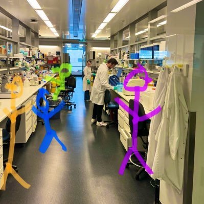 Lab @ WEHI. Discovery and Targeting of novel regulators of RNAPII-mediated transcription in cancer. Looking for postdocs! #Transcription #CRISPR #RNAPII