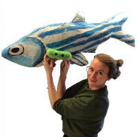 Noortje Dannenberg (@noortjedberg) 's Twitter Profile