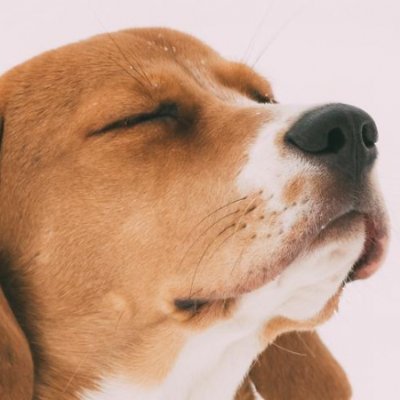 hawarysahulata's profile picture. https://t.co/i7v4BOl4Sn