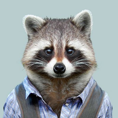 InvestiGator600's profile picture. Älskar general vit och trocadero. Marketing @Quartr_app