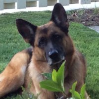 Dennis Keller (@dennisk28148697) 's Twitter Profile