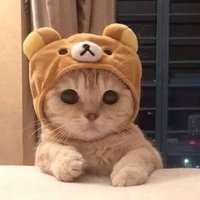 Mikity (@znphg) 's Twitter Profile