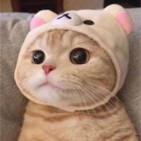 あいるす (@wkeystable) Twitter profile photo