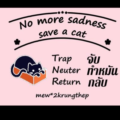 BKKanimals's profile picture. We are looking for people who are willing to adopt #rescued cats in #Bangkok. #バンコク#保護猫里親募集. #TNR、#野良猫病気治療