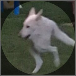 Kaidokawaiii's profile picture. I make tuesdays feel like mondays