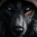 kaan erdogan (@darkwolfreborn) Twitter profile photo kaan erdogan (@darkwolfreborn) Twitter profile photo