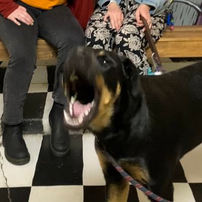 jessicaannirwin's profile picture. she/her