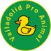 Valladolid Pro Animal (@valladolid_pro) Twitter profile photo