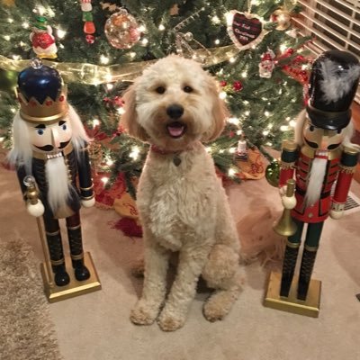 valpotim's profile picture. 