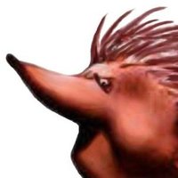 Dimsdale Piranha (@dimsdalepiranha) 's Twitter Profile Photo Dimsdale Piranha (@dimsdalepiranha) 's Twitter Profile Photo